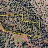  For Sale - (€ 0 / m2), Agricultural 4237.72 m2 Thasos 8098659 thumb3
