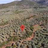  For Sale - (€ 0 / m2), Agricultural 4237.72 m2 Thasos 8098659 thumb8