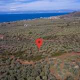  For Sale - (€ 0 / m2), Agricultural 4237.72 m2 Thasos 8098659 thumb2