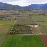 For Sale - (€ 0 / m2), Agricultural 5232 m2 Kavala 8098675 thumb3