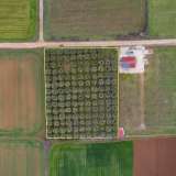  For Sale - (€ 0 / m2), Agricultural 5232 m2 Kavala 8098675 thumb6