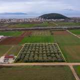 For Sale - (€ 0 / m2), Agricultural 5232 m2 Kavala 8098675 thumb0