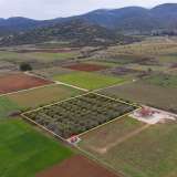  For Sale - (€ 0 / m2), Agricultural 5232 m2 Kavala 8098675 thumb2