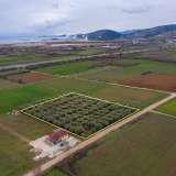  For Sale - (€ 0 / m2), Agricultural 5232 m2 Kavala 8098675 thumb7