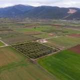  For Sale - (€ 0 / m2), Agricultural 5232 m2 Kavala 8098675 thumb4