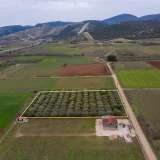  For Sale - (€ 0 / m2), Agricultural 5232 m2 Kavala 8098675 thumb1