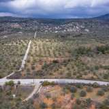  For Sale - (€ 0 / m2), Agricultural 4902.10 m2 Thasos 8098680 thumb0