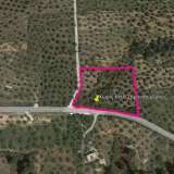  For Sale - (€ 0 / m2), Agricultural 4902.10 m2 Thasos 8098680 thumb2