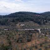  For Sale - (€ 0 / m2), Agricultural 4902.10 m2 Thasos 8098680 thumb3