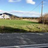  For Sale - (€ 0 / m2), Agricultural 1590 m2 Chrisoupoli 8098681 thumb2