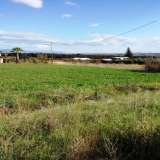  For Sale - (€ 0 / m2), Agricultural 1590 m2 Chrisoupoli 8098681 thumb3