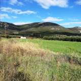  For Sale - (€ 0 / m2), Agricultural 1590 m2 Chrisoupoli 8098681 thumb5
