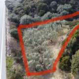  For Sale - (€ 0 / m2), Agricultural 1128.26 m2 Eleftheres 8098688 thumb2