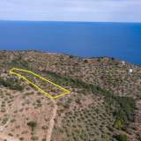  For Sale - (€ 0 / m2), Agricultural 10610 m2 Thasos 8098691 thumb0