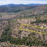  For Sale - (€ 0 / m2), Agricultural 10610 m2 Thasos 8098691 thumb7