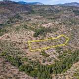  For Sale - (€ 0 / m2), Agricultural 10610 m2 Thasos 8098691 thumb8