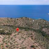 For Sale - (€ 0 / m2), Agricultural 10610 m2 Thasos 8098691 thumb9