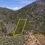  For Sale - (€ 0 / m2), Agricultural 4655 m2 Thasos 8098692 thumb0
