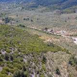  For Sale - (€ 0 / m2), Agricultural 4655 m2 Thasos 8098692 thumb8