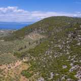  For Sale - (€ 0 / m2), Agricultural 4655 m2 Thasos 8098692 thumb5