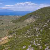  For Sale - (€ 0 / m2), Agricultural 4655 m2 Thasos 8098692 thumb4