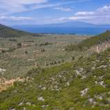  For Sale - (€ 0 / m2), Agricultural 4655 m2 Thasos 8098692 thumb6