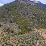  For Sale - (€ 0 / m2), Agricultural 4655 m2 Thasos 8098692 thumb2