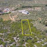  For Sale - (€ 0 / m2), Agricultural 4655 m2 Thasos 8098692 thumb7