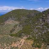  For Sale - (€ 0 / m2), Agricultural 4655 m2 Thasos 8098692 thumb3