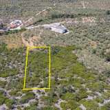 For Sale - (€ 0 / m2), Agricultural 5662 m2 Thasos 8098693 thumb7