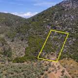  For Sale - (€ 0 / m2), Agricultural 5662 m2 Thasos 8098693 thumb0