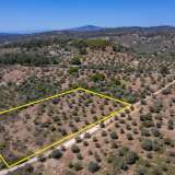  For Sale - (€ 0 / m2), Agricultural 7752 m2 Thasos 8098694 thumb7
