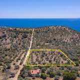  For Sale - (€ 0 / m2), Agricultural 7752 m2 Thasos 8098694 thumb2