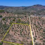  For Sale - (€ 0 / m2), Agricultural 7752 m2 Thasos 8098694 thumb8