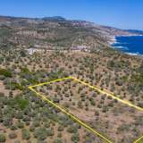  For Sale - (€ 0 / m2), Agricultural 7752 m2 Thasos 8098694 thumb5