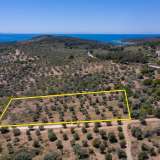  For Sale - (€ 0 / m2), Agricultural 7752 m2 Thasos 8098694 thumb6