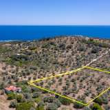  For Sale - (€ 0 / m2), Agricultural 7752 m2 Thasos 8098694 thumb4