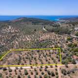  For Sale - (€ 0 / m2), Agricultural 7752 m2 Thasos 8098694 thumb9