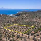  For Sale - (€ 0 / m2), Agricultural 7752 m2 Thasos 8098694 thumb3