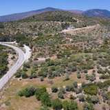  For Sale - (€ 0 / m2), Agricultural 4000 m2 Thasos 8098695 thumb7