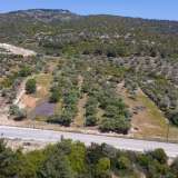  For Sale - (€ 0 / m2), Agricultural 4000 m2 Thasos 8098695 thumb9
