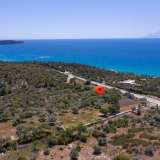  For Sale - (€ 0 / m2), Agricultural 4000 m2 Thasos 8098695 thumb6
