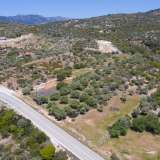  For Sale - (€ 0 / m2), Agricultural 4000 m2 Thasos 8098695 thumb8