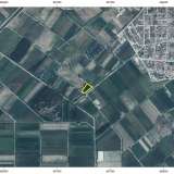  For Sale - (€ 0 / m2), Agricultural 3923 m2 Chrisoupoli 8098007 thumb2