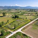  For Sale - (€ 0 / m2), Agricultural 3923 m2 Chrisoupoli 8098007 thumb0