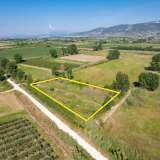  For Sale - (€ 0 / m2), Agricultural 3923 m2 Chrisoupoli 8098007 thumb5
