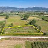  For Sale - (€ 0 / m2), Agricultural 3923 m2 Chrisoupoli 8098007 thumb4