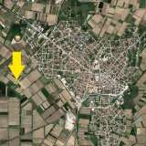  For Sale - (€ 0 / m2), Agricultural 3923 m2 Chrisoupoli 8098007 thumb1