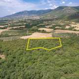  For Sale - (€ 0 / m2), Agricultural 8437 m2 Chrisoupoli 8098072 thumb9