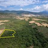  For Sale - (€ 0 / m2), Agricultural 8437 m2 Chrisoupoli 8098072 thumb6